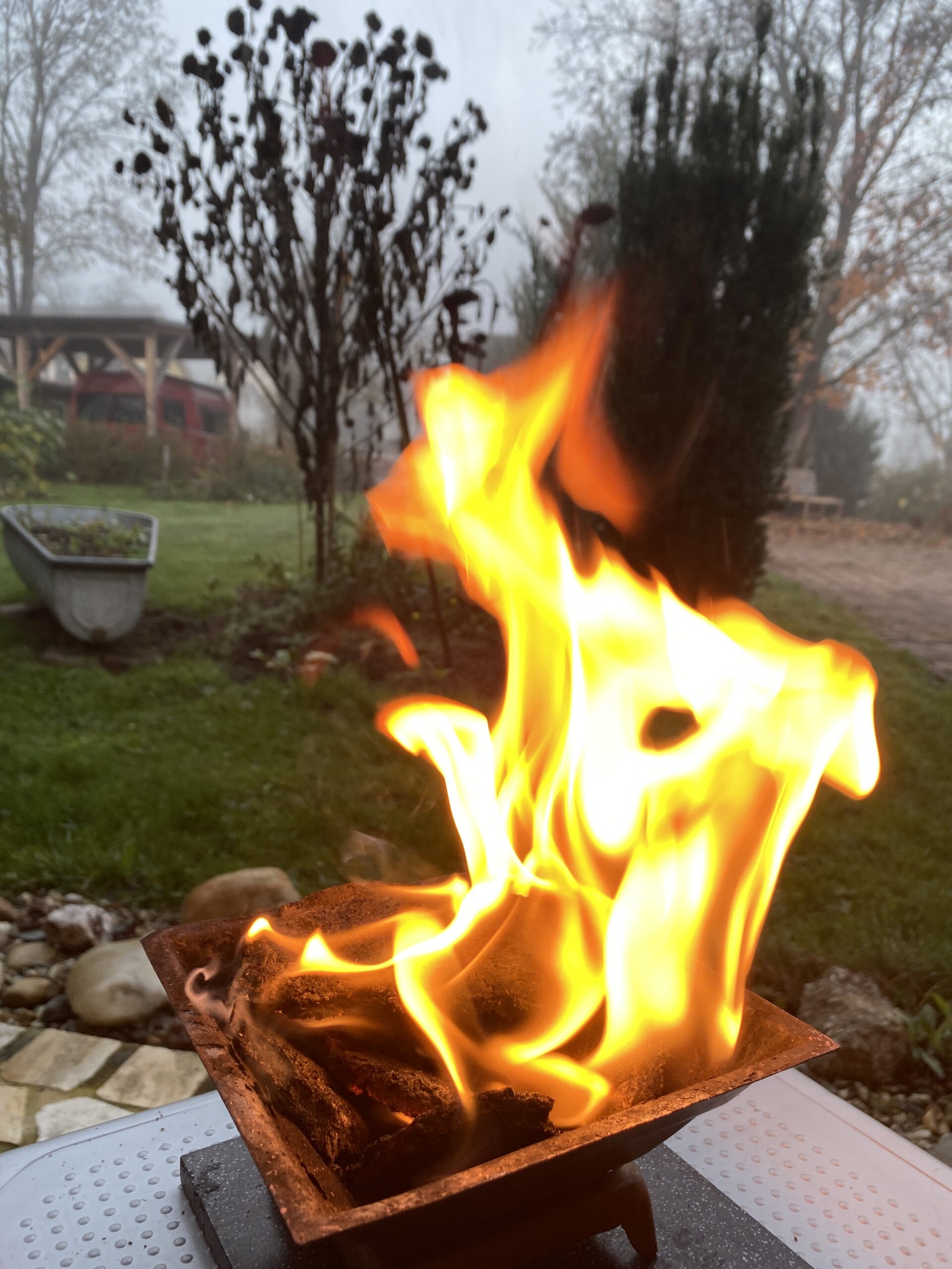 Homafeuer